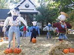 Scarecrows and Pumpkins