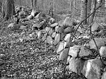 Wild stone wall