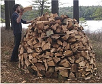 Wood pile