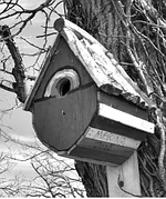 Birdhouse 11
