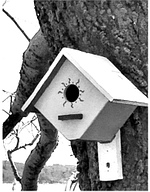 Birdhouse 3