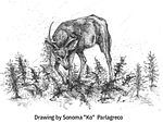 Sonoma Deer